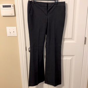 Express Denim Color Regular Boot Dress Pants